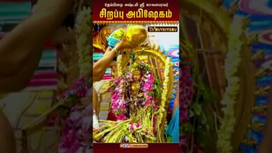 Photo of தேய்பிறை அஷ்டமி🌙ஸ்ரீ காலபைரவர் சிறப்பு அபிஷேகம் | Special Abhishekam #தேய்பிறைஅஷ்டமி #பைரவர்அபிஷேகம்