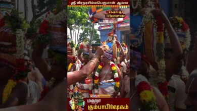 Photo of தஞ்சாவூர் – வெண்ணாற்றங்கரை ஸ்ரீ வீரநரசிம்மபெருமாள் ஆலய மஹா கும்பாபிஷேகம் | Maha Kumbabhishekam 2025