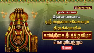 Photo of 🔴Live : திருவண்ணாமலை ஸ்ரீ அருணாசலேசுவரர் ஆலய கார்த்திகை தீபத் திருவிழா – கொடியேற்றம்