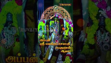 Photo of திருவாரூர் – புலிவலம் அப்பன் ஸ்ரீ வெங்கடாசலபதி பெருமாள் ஆலய மஹா கும்பாபிஷேகம் | Tomorrow Live Promo