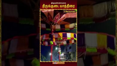 Photo of திருவண்ணாமலை திருக்குடை உபய யாத்திரை | Thirukudai Upaya Yathirai #திருக்குடை #உபயயாத்திரை