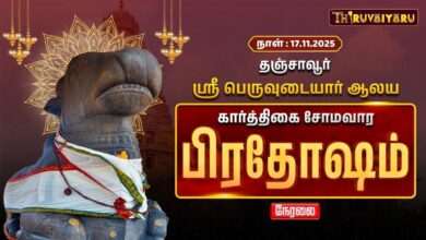 Photo of 🔴Live : தஞ்சாவூர் ஸ்ரீ பெருவுடையார் ஆலய கார்த்திகை சோமவார பிரதோஷம் | Somavara Pradosham