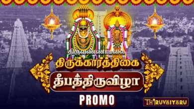 Photo of திருவண்ணாமலை கார்த்திகை தீப திருவிழா | பரணி தீபம் & மகா தீபம் | Live Promo | Arunachaleswarar Temple