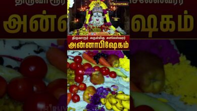 Photo of திருவாரூர் தியாகராஜர் இளங்கோயில் – அசலேஸ்வரர் அன்னாபிஷேகம் | Thiruvarur Asaleswarar Annabhishekam✨🙏