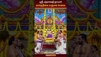 Photo of родро┐ро░рпБрокрпНрокродро┐ – родро┐ро░рпБроЪрпНроЪро╛ройрпВро░рпН ро╕рпНро░рпА рокродрпНрооро╛ро╡родро┐ родро╛ропро╛ро░рпН роХро╛ро░рпНродрпНродро┐роХрпИ рокро┐ро░роорпНроорпЛро▒рпНроЪро╡роорпН роЙроЮрпНроЪро▓рпН роЪрпЗро╡рпИ | Thiruvaiyaru