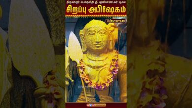 Photo of திருவாரூர் – வடக்குவீதி ஸ்ரீ பழனியாண்டவர் ஆலய ஐப்பசி கார்த்திகை சிறப்பு அபிஷேகம் | Sirappu Abishekam