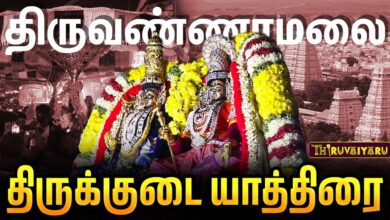 Photo of திருவண்ணாமலை திருக்குடை உபய யாத்திரை | Thiruvannamalai Thirukudai Upaya Yathirai | Thiruvaiyaru