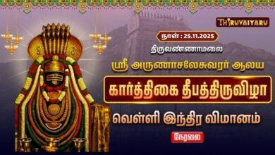 Photo of 🔴Live : திருவண்ணாமலை ஸ்ரீ அருணாசலேசுவரர் ஆலய கார்த்திகை தீபத் திருவிழா வெள்ளி இந்திர வாகனம்