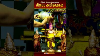 Photo of சிக்கல் சிங்காரவேலனுக்கு சிறப்பு அபிஷேகம் | Sirappu Abishekam #sikkal #abishekam #thiruvaiyaru