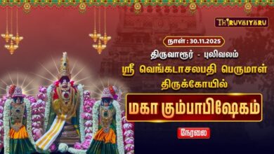 Photo of 🔴Live :திருவாரூர் – புலிவலம் ஸ்ரீ வெங்கடாசலபதி பெருமாள் ஆலய மஹா கும்பாபிஷேக விழா