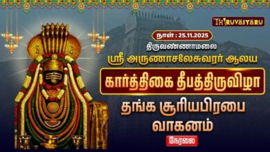 Photo of 🔴Live : திருவண்ணாமலை ஸ்ரீ அருணாசலேசுவரர் ஆலய கார்த்திகை தீபத் திருவிழா தங்க சூரியபிரபை வாகனம்