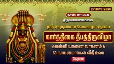 Photo of 🔴Live : திருவண்ணாமலை ஸ்ரீ அருணாசலேசுவரர் ஆலய தீபத் திருவிழா வெள்ளி யானை வாகனம்