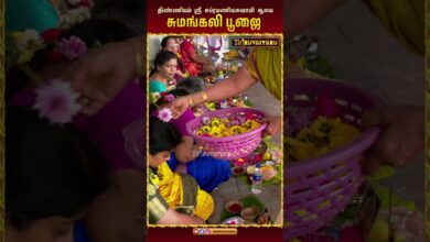 Photo of திண்ணியம் ஸ்ரீ சுப்ரமணியசுவாமி ஆலய சுமங்கலி பூஜை | Sumangali Poojai #திண்ணியம் #சுமங்கலிபூஜை