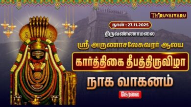 Photo of 🔴Live : திருவண்ணாமலை ஸ்ரீ அருணாசலேசுவரர் ஆலய தீபத் திருவிழா நாக வாகனம்