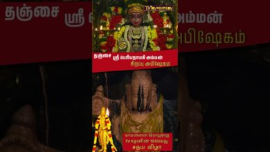 Photo of родроЮрпНроЪро╛ро╡рпВро░рпН ро╕рпНро░рпА рокрпЖро░ро┐ропроиро╛ропроХро┐ роЕроорпНрооройрпН рооро╛рооройрпНройройрпН роЗро░ро╛роЬро░ро╛роЬ роЪрпЛро┤ройро┐ройрпН 1040ро╡родрпБ рооро╛рокрпЖро░рпБроорпН роЪродроп ро╡ро┐ро┤ро╛ роЪро┐ро▒рокрпНрокрпБ роЕрокро┐ро╖рпЗроХроорпН