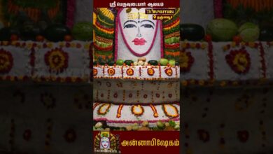 Photo of தஞ்சாவூர் ஸ்ரீ பெருவுடையார் ஆலயத்தில் ஐப்பசி பௌர்ணமி அன்னாபிஷேகம் |  Aippasi Pournami Annabishekam