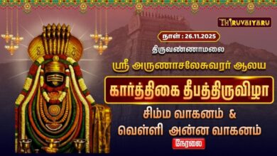 Photo of 🔴Live : திருவண்ணாமலை ஸ்ரீ அருணாசலேசுவரர் ஆலய தீபத் திருவிழா சிம்ம வாகனம் & வெள்ளி அன்ன வாகனம்