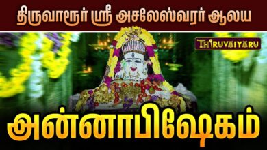 Photo of திருவாரூர் ஸ்ரீ அசலேஸ்வரர் ஆலய அன்னாபிஷேகம் | Thiruvarur Sri Asaleswarar Annabhishekam