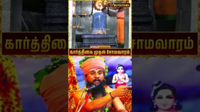 Photo of கார்த்திகை முதல் சோமவாரம் சிறப்பு அபிஷேகம் | Karthigai Muthal Somavaram Special Abishekam #abishekam