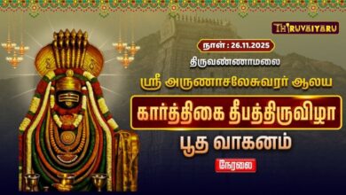 Photo of 🔴Live : திருவண்ணாமலை ஸ்ரீ அருணாசலேசுவரர் ஆலய கார்த்திகை தீபத் திருவிழா பூத வாகனம்