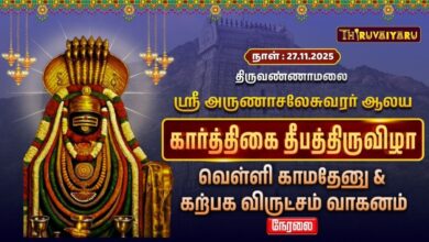 Photo of 🔴Live : திருவண்ணாமலை ஸ்ரீ அருணாசலேசுவரர் ஆலய தீபத் திருவிழா வெள்ளி காமதேனு & கற்பக விருட்சம் வாகனம்