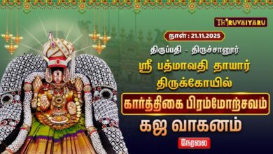 Photo of 🔴Live : திருப்பதி – திருச்சானூர் ஸ்ரீ பத்மாவதி தாயார் ஆலய கார்த்திகை பிரம்மோற்சவம் கஜ வாகனம்
