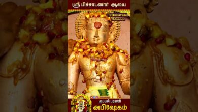 Photo of திருவாரூர் ஸ்ரீ பிச்சாடனார் ஆலய ஐப்பசி பரணி அபிஷேகம் | Sri Pitchadanaar Temple  Bharani Abishekam