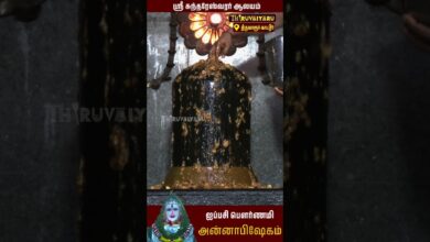 Photo of 🙏 திருவாரூர்-காட்டூர் ஸ்ரீ சுந்தரேஸ்வரர் ஆலயத்தில் ஐப்பசி மாத பௌர்ணமி அன்னாபிஷேகம் | Thiruvaiyaru