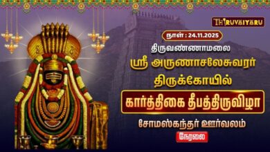 Photo of 🔴Live : திருவண்ணாமலை ஸ்ரீ அருணாசலேசுவரர் ஆலய கார்த்திகை தீபத் திருவிழா சோமஸ்கந்தர் ஊர்வலம்