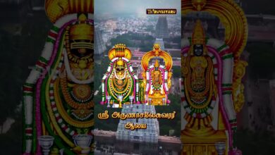 Photo of திருவண்ணாமலை கார்த்திகை தீப திருவிழா | பரணி தீபம் & மகா தீபம் | Live Promo | Arunachaleswarar Temple