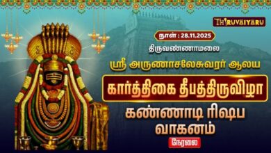 Photo of 🔴Live : திருவண்ணாமலை ஸ்ரீ அருணாசலேசுவரர் ஆலய தீபத் திருவிழா கண்ணாடி ரிஷப வாகனம்