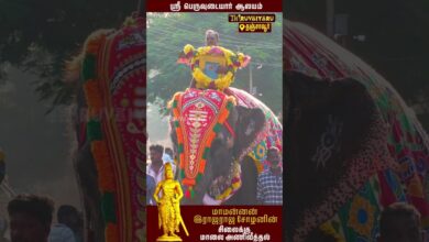 Photo of தஞ்சாவூர் ஸ்ரீ பெருவுடையார் கோயில் 1040வது சதய விழா சோழன் சிலைக்கு மாலை அனிவித்தல் | Thiruvaiyaru