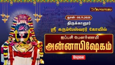 Photo of 🔴Live : திருக்கானூர் ஸ்ரீ கரும்பேஸ்வரர் ஆலய ஐப்பசி பௌர்ணமி அன்னாபிஷேகம் | Aippasi Annabhishekam