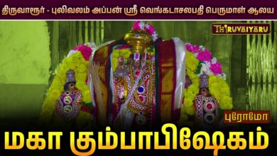Photo of திருவாரூர் – புலிவலம் அப்பன் ஸ்ரீ வெங்கடாசலபதி பெருமாள் ஆலய மஹா கும்பாபிஷேகம் | Promo | Thiruvaiyaru