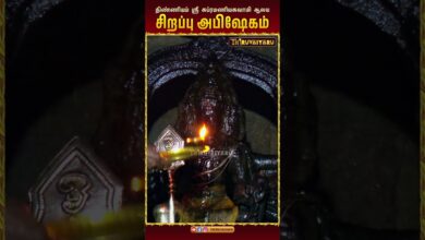 Photo of திண்ணியம் ஸ்ரீ சுப்ரமணியசுவாமி ஆலய சிறப்பு அபிஷேகம்✨ |  Special Abhishekam #dhinniyam #Abishekam