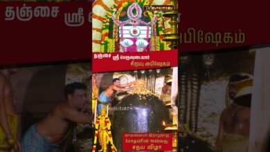 Photo of தஞ்சாவூர் ஸ்ரீ பெருவுடையார் கோயில் 1040வது மாபெரும் சதய விழா சிறப்பு அபிஷேகம் | Thiruvaiyaru