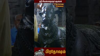 Photo of சிவசைலம் ஸ்ரீ சிவசைலநாதர் ஆலயத்தில் பிரதோஷ பூஜை | Sri Sivasailanathar Temple Pradosham |Thiruvaiyaru