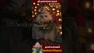 Photo of திருக்கானூர் ஸ்ரீ கரும்பேஸ்வரர் ஆலயத்தில் ஐப்பசி பௌர்ணமி அன்னாபிஷேகம் | Annabishekam Thiruvaiyaru