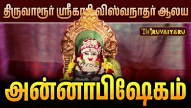 Photo of திருவாரூர் ஸ்ரீ காசி விஸ்வநாதர் ஆலய அன்னாபிஷேகம் | Thiruvarur Annabhishekam | Thiruvaiyaru