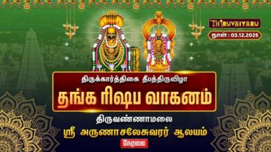 Photo of 🔴Live : திருவண்ணாமலை ஸ்ரீ அருணாசலேசுவரர் ஆலய கார்த்திகை தீபத் திருவிழா தங்க ரிஷப வாகனம்