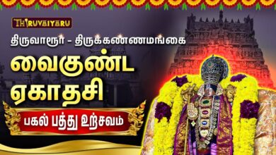 Photo of திருவாரூர் – திருக்கண்ணமங்கை ஸ்ரீ பக்தவசலபெருமாள் ஆலய வைகுண்ட ஏகாதசி பகல் பத்து உற்சவம்