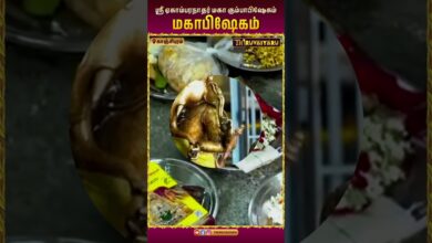 Photo of காஞ்சிபுரம் ஸ்ரீ ஏகாம்பரநாதர் ஆலய மகாபிஷேகம் | Mahabhishekam #kumbabishekam