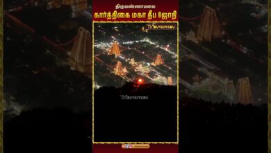 Photo of родро┐ро░рпБро╡рогрпНрогро╛рооро▓рпИ роХро╛ро░рпНродрпНродро┐роХрпИ родрпАрок роЬрпЛродро┐ | Thiruvannamalai Deepam Live Moment ЁЯФеЁЯЩП