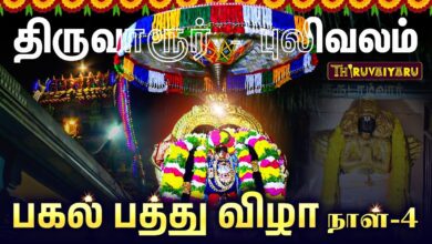 Photo of திருவாரூர் – புலிவலம் ஸ்ரீ வெங்கடாஜலபதி பெருமாள் ஆலய பகல் பத்து விழா நாள்- 4 | Pagal Pathu Festival