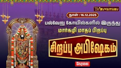 Photo of 🔴Live : பல்வேறு கோயில்களில் இருந்து மார்கழி மாதப் பிறப்பு சிறப்பு அபிஷேகம் | Sirappu Abishekam