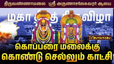 Photo of திருவண்ணாமலை மகா தீப கொப்பரைக்கு சிறப்பு பூஜை – மலை ஏற்றும் புனித தருணம் | Thiruvannamalai Deepam