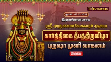 Photo of 🔴Live : திருவண்ணாமலை ஸ்ரீ அருணாசலேசுவரர் ஆலய கார்த்திகை தீபத் திருவிழா புருஷா முனி வாகனம்