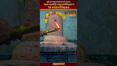 Photo of திருவாரூர் – புதுக்குடி ஸ்ரீ தான்தோன்றிஸ்வரர் ஆலயம் 3ஆம் ஆண்டு வருஷாபிஷேகம் & 108 சங்காபிஷேகம்