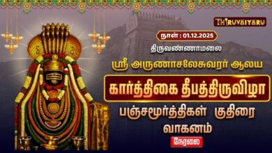 Photo of 🔴Live : திருவண்ணாமலை ஸ்ரீ அருணாசலேசுவரர் ஆலய கார்த்திகை தீபத் திருவிழா பஞ்சமூர்த்திகள் குதிரை வாகம்