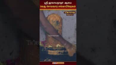 Photo of திருவாரூர் ஸ்ரீ தூவாயநாதர் ஆலய மூன்றாவது சோமவார சங்காபிஷேகம் |  Somavara Sangabishekam